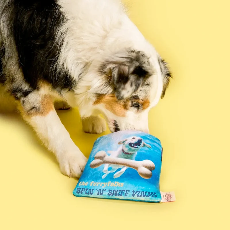 Hundespielzeug, Vinyl