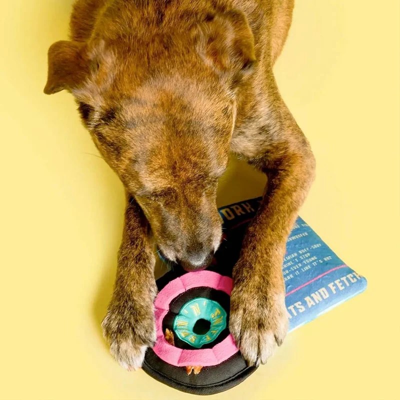 Hundespielzeug, Vinyl