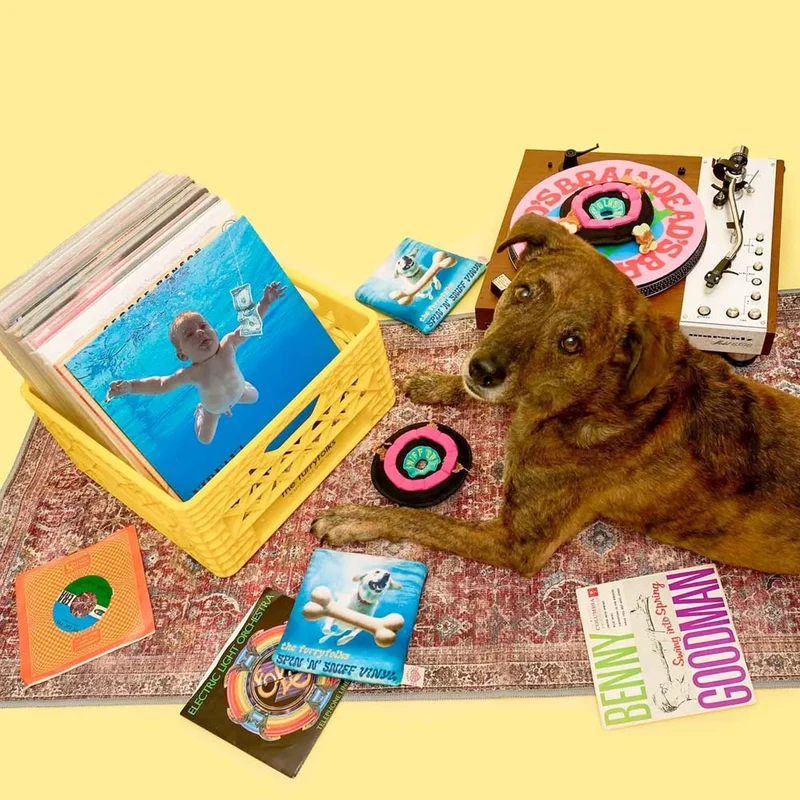 Hundespielzeug, Vinyl