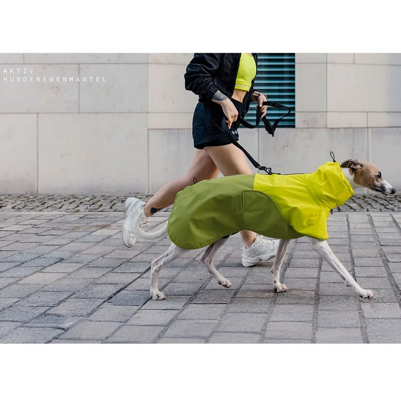 Hunderegenmantel AKTIV Neon Green/Light Olive
