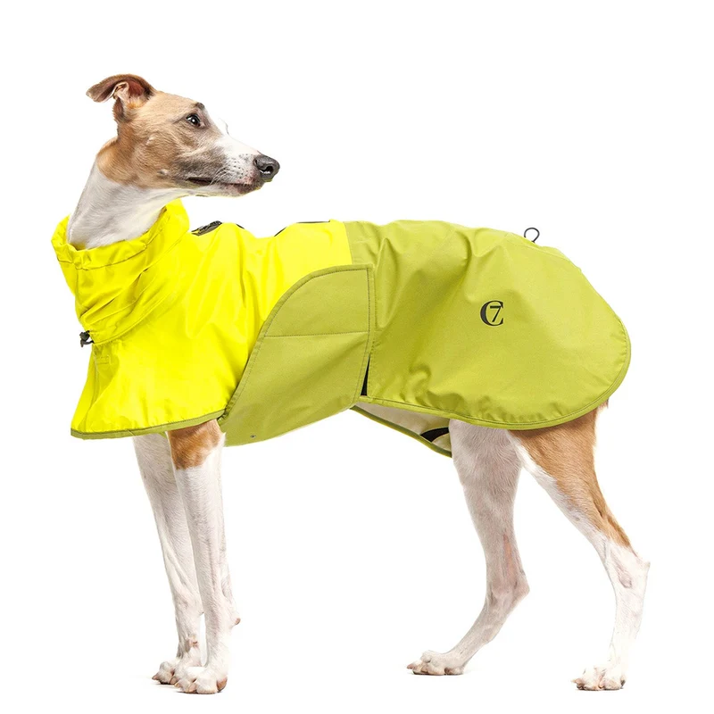 Hunderegenmantel AKTIV Neon Green/Light Olive