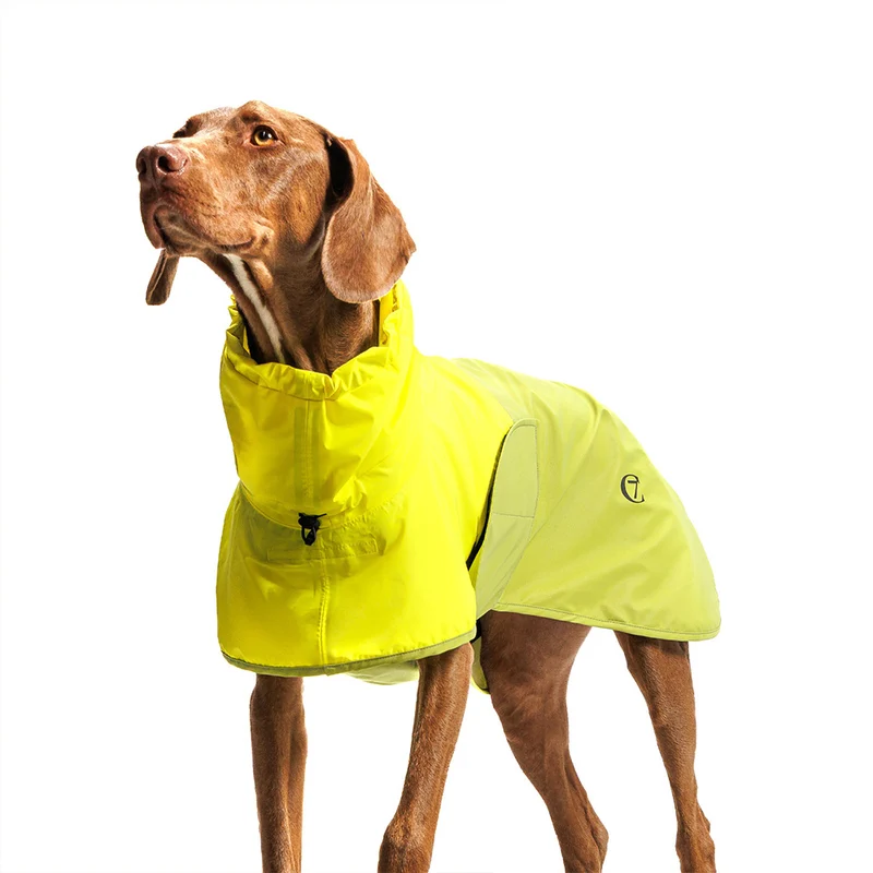 Hunderegenmantel AKTIV Neon Green/Light Olive