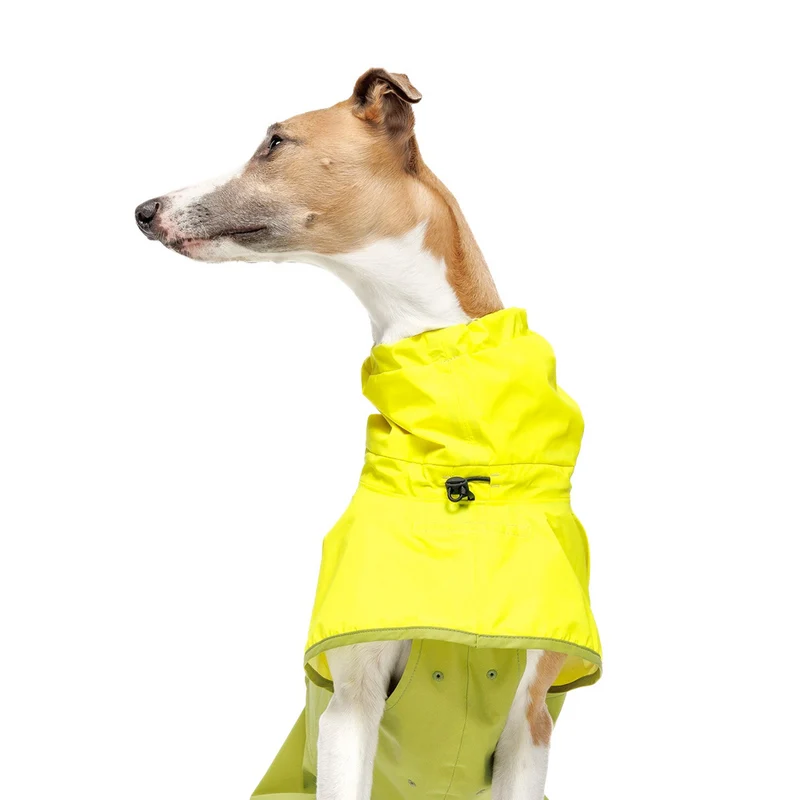 Hunderegenmantel AKTIV Neon Green/Light Olive