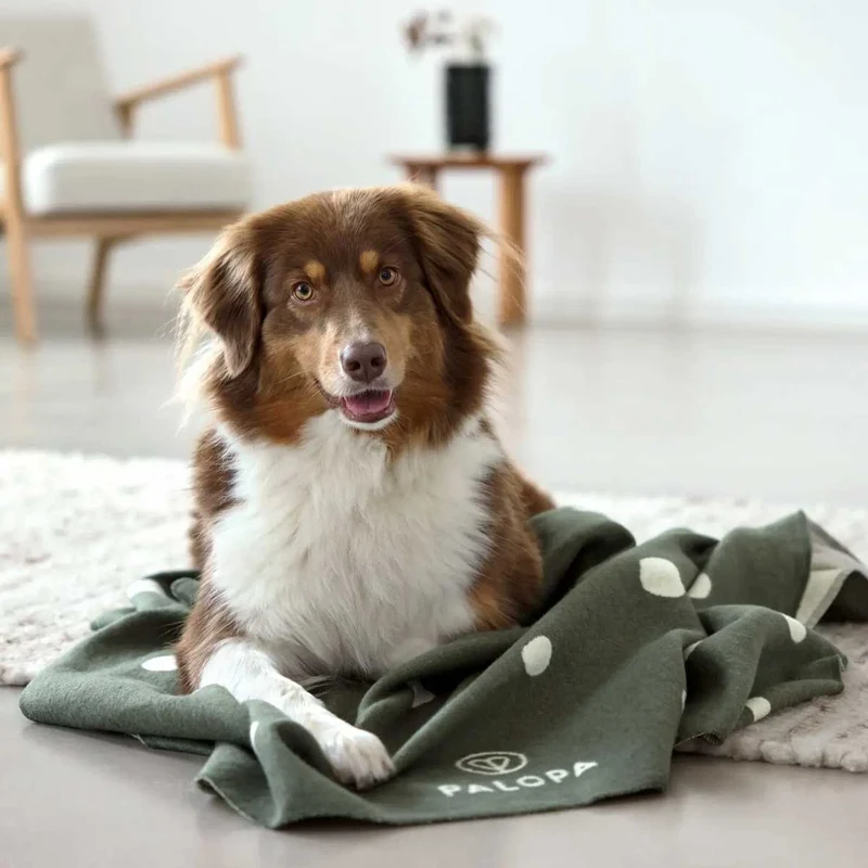 Hundedecke Ida, Punkte Dunkelgrün
