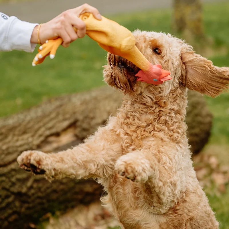 Nobby Hundespielzeug HÄHNCHEN - Latex Hahn Huhn - Spiel für Hund - quietscht
