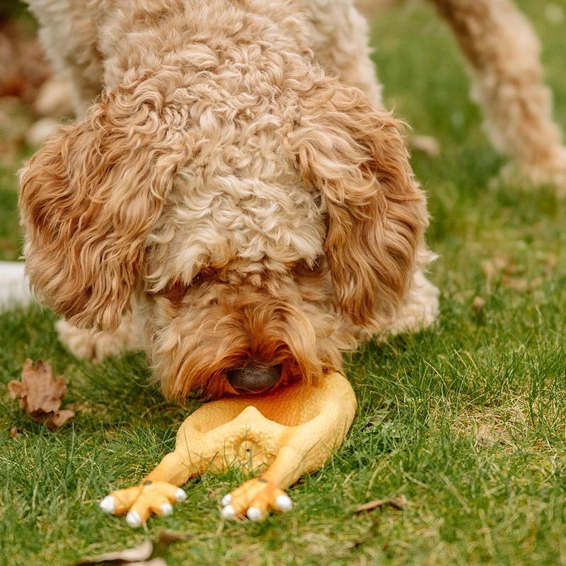 Nobby Hundespielzeug HÄHNCHEN - Latex Hahn Huhn - Spiel für Hund - quietscht
