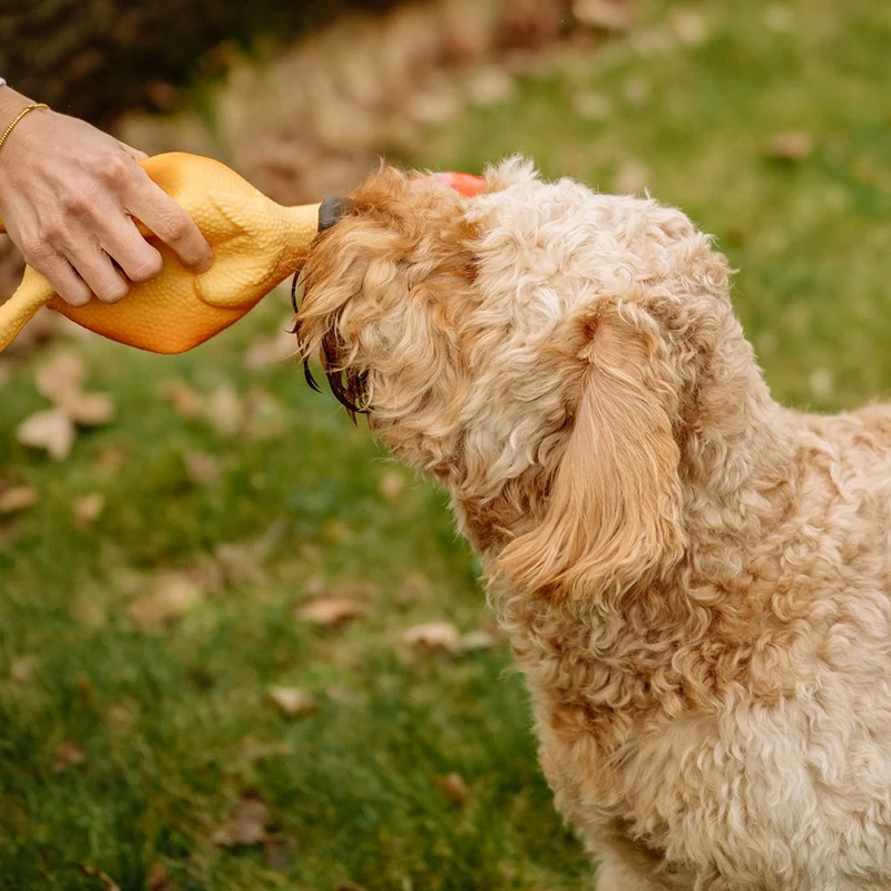 Nobby Hundespielzeug HÄHNCHEN - Latex Hahn Huhn - Spiel für Hund - quietscht