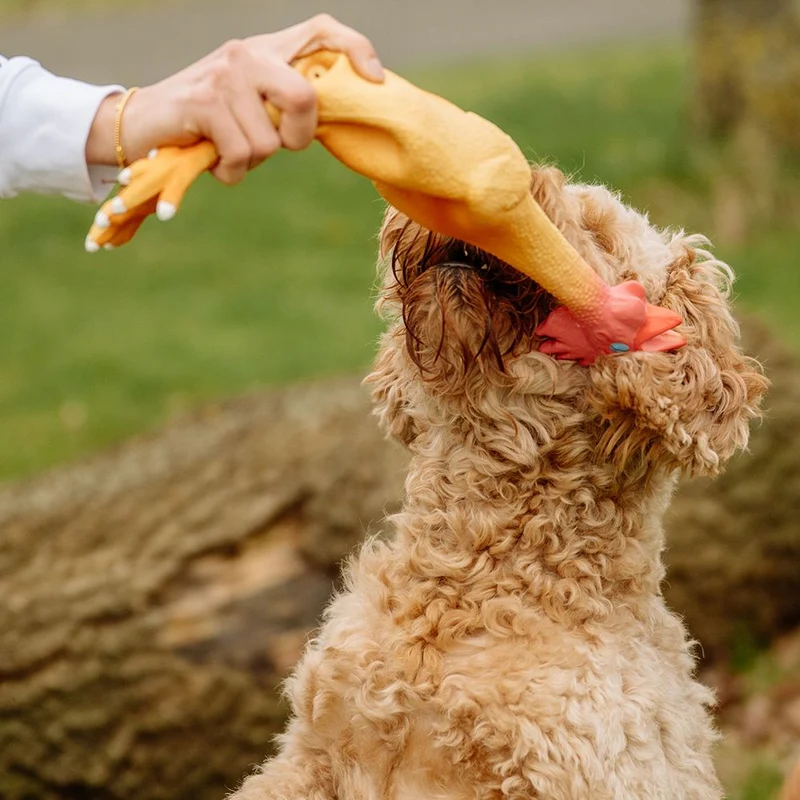 Nobby Hundespielzeug HÄHNCHEN - Latex Hahn Huhn - Spiel für Hund - quietscht