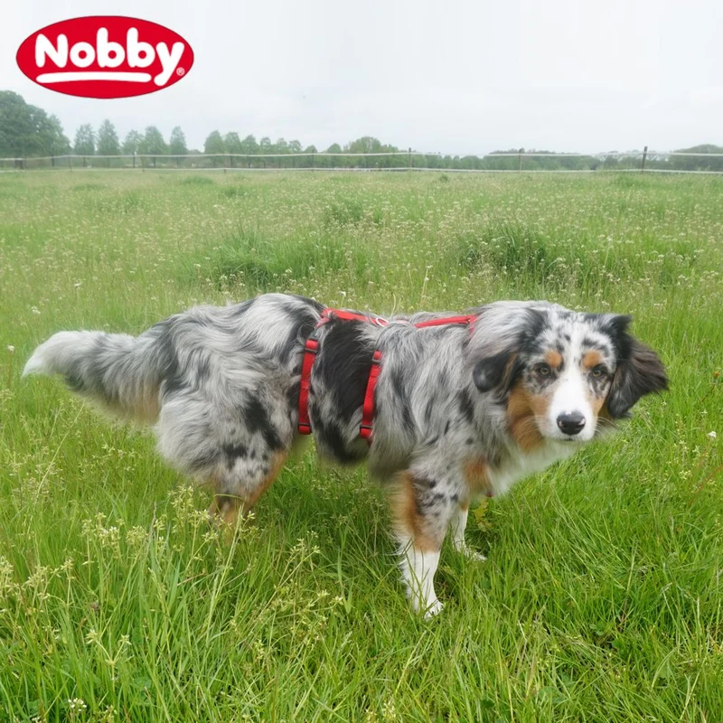 Nobby Sicherheitsgeschirr TURVA - Nylon + Neopren - Panikgeschirr Hundegeschirr