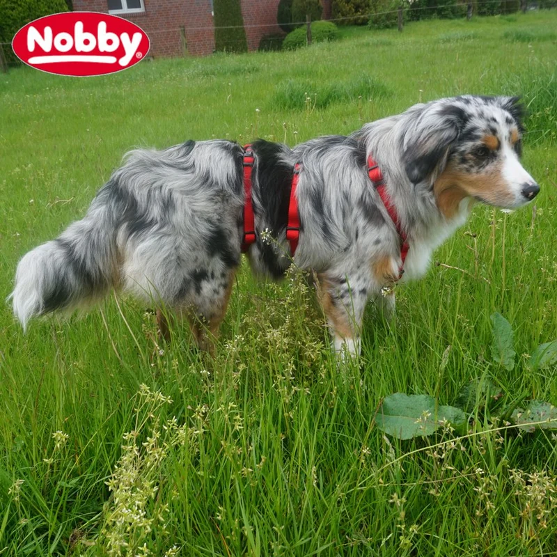 Nobby Sicherheitsgeschirr TURVA - Nylon + Neopren - Panikgeschirr Hundegeschirr
