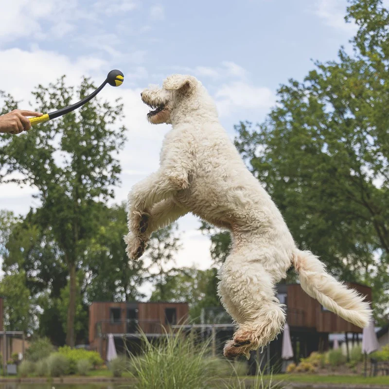 Beeztees Fetch Ball Launcher - 50 cm - schwarz gelb - Ballwerfer Hundespielzeug