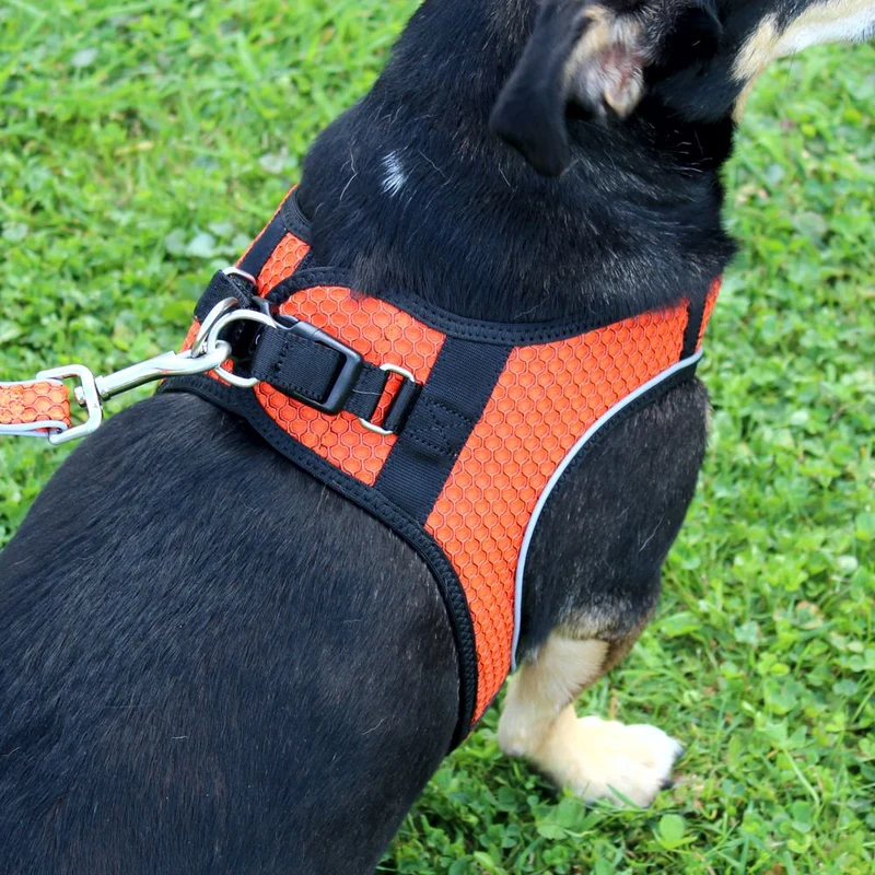 Nobby Geschirr MESH AIR - XXS/XS/S/M/L - 6 Farben Nylon Meshgewebe Hundegeschirr