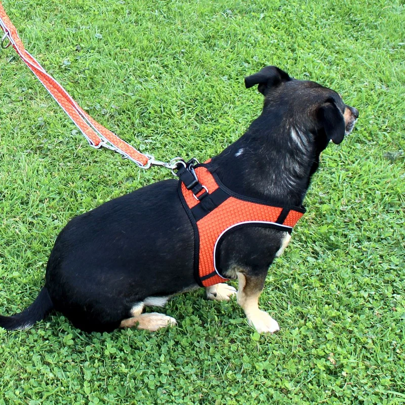 Nobby Geschirr MESH AIR - XXS/XS/S/M/L - 6 Farben Nylon Meshgewebe Hundegeschirr