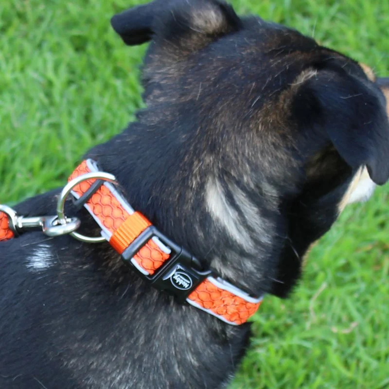 Nobby Halsband MESH AIR - XS/S/M/L/XL - 6 Farben Nylon Meshgewebe Hundehalsband