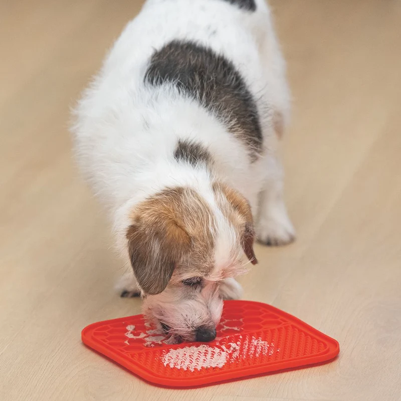Karlie Silikon Leckmatte - für Hund und Katze - Schleckmatte - Anti-Schlingmatte