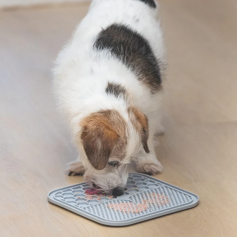 Karlie Silikon Leckmatte - für Hund und Katze - Schleckmatte - Anti-Schlingmatte