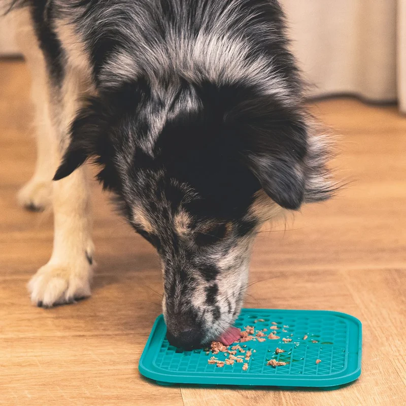 Beeztees Silikon Leckmatte Gourmet - Hund Katze - Schleckmatte Anti-Schlingmatte