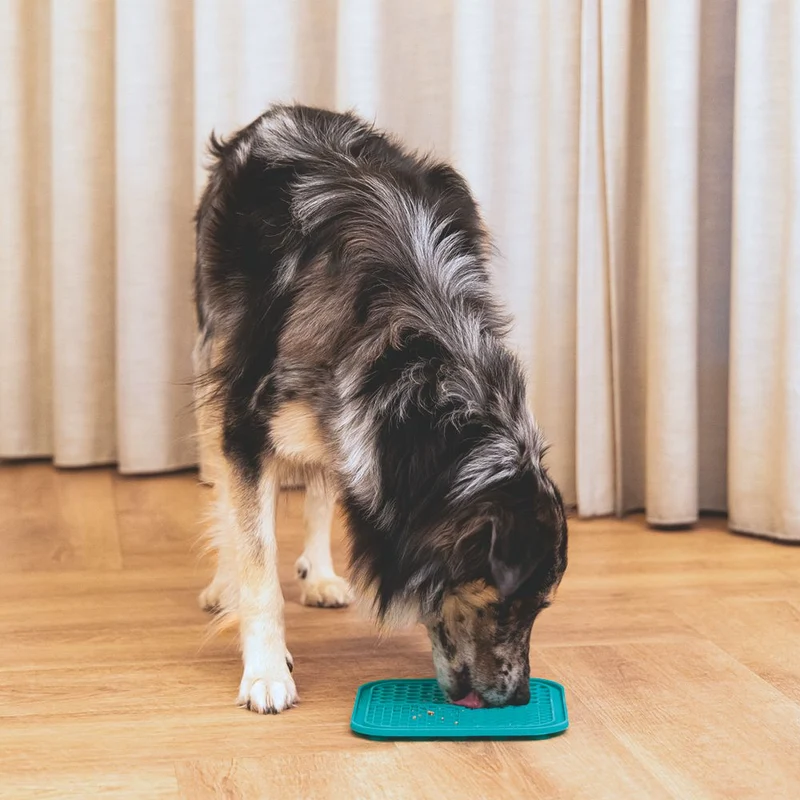 Beeztees Silikon Leckmatte Gourmet - Hund Katze - Schleckmatte Anti-Schlingmatte