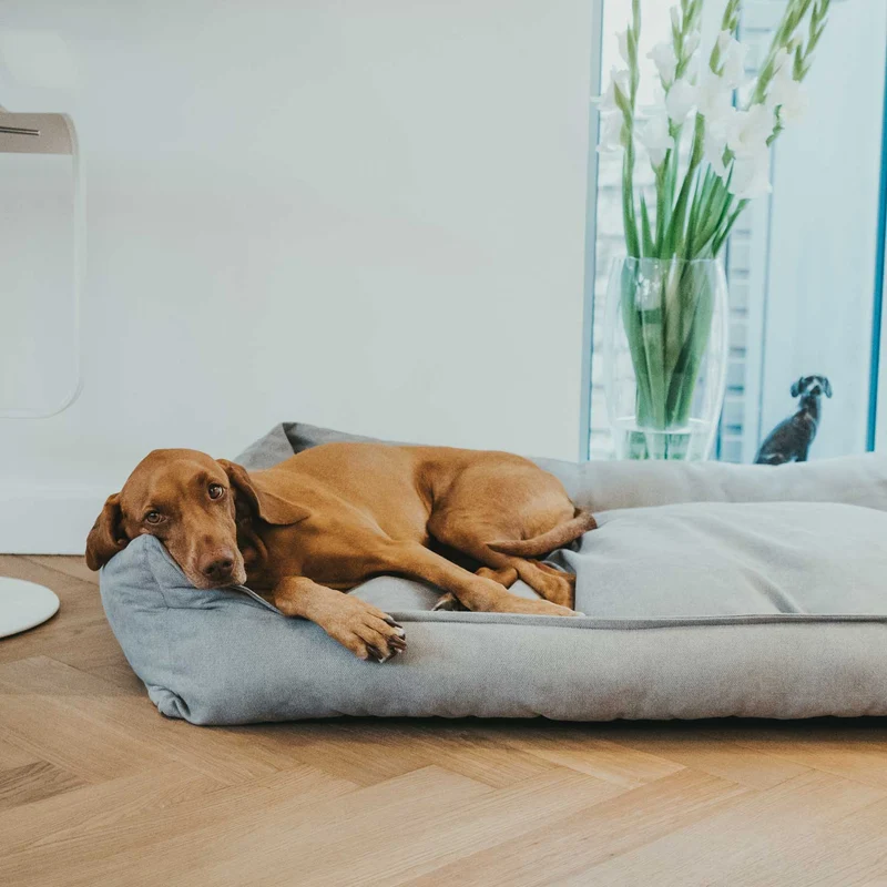 Hundesofa Eiby