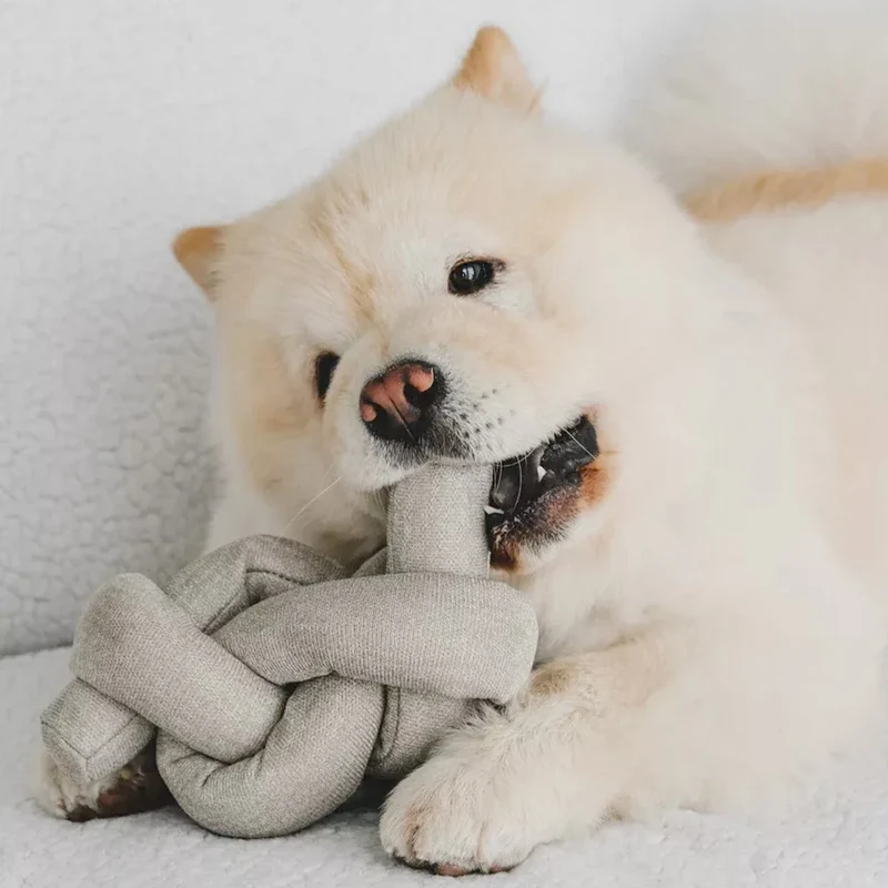 Schnüffelspielzeug NOU Gray, mit Knistereffekt
