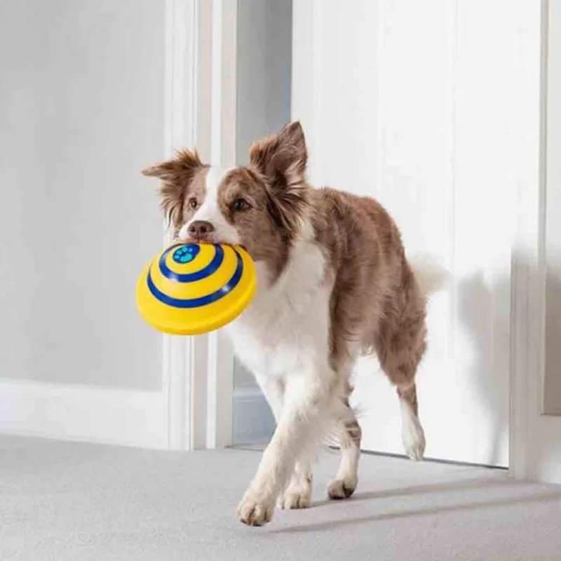 Interaktives Hundespielzeug – Drehbare Spielmatte In Spiralform für Geistige Stimulation