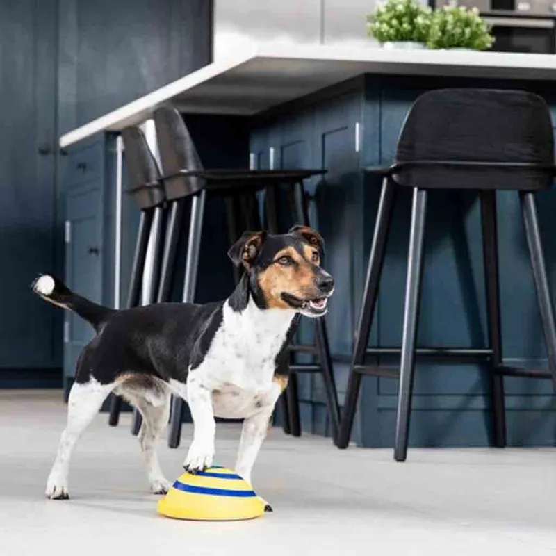Interaktives Hundespielzeug – Drehbare Spielmatte In Spiralform für Geistige Stimulation