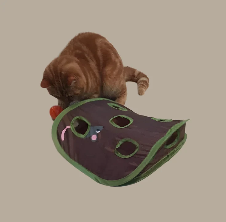 Katzenzelt mit Spielzeug – Interaktive Höhle mit Mäusen und Bällen für Katzen