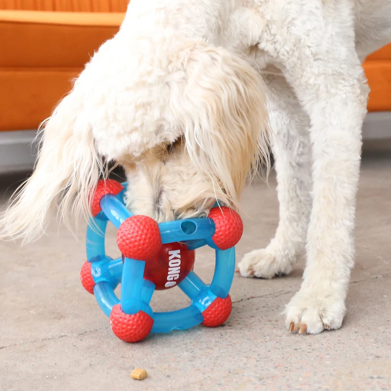Hundespielzeug KONG® Rewards Tinker