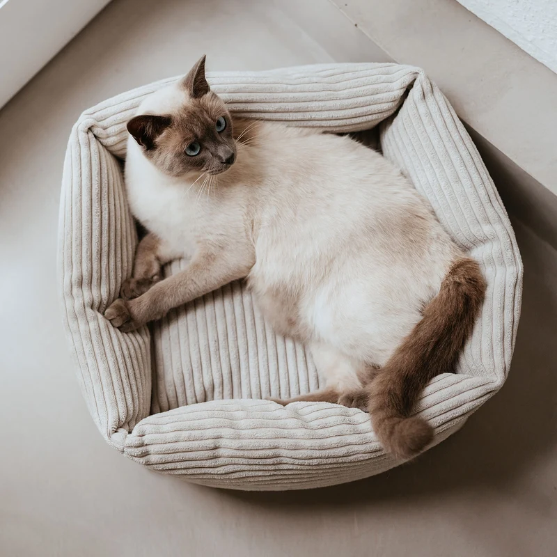 Katzenbett Rimini