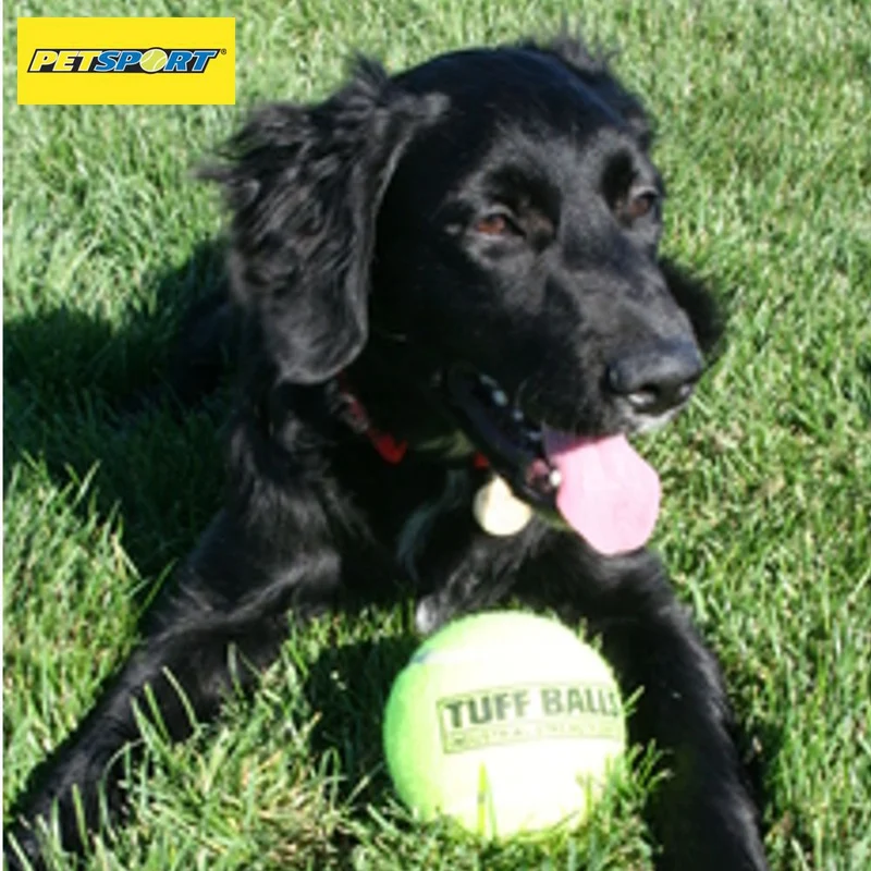 PetSport Tennisball TUFF BALL - XS/S/M/L/XL - Apportierspielzeug Hundeball