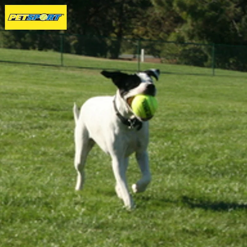 PetSport Tennisball TUFF BALL - XS/S/M/L/XL - Apportierspielzeug Hundeball