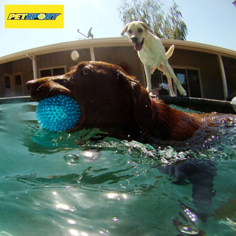 PetSport Gorilla Ball Hundespiel Apportierspiel Spielzeug TPR Igelball Gummiball
