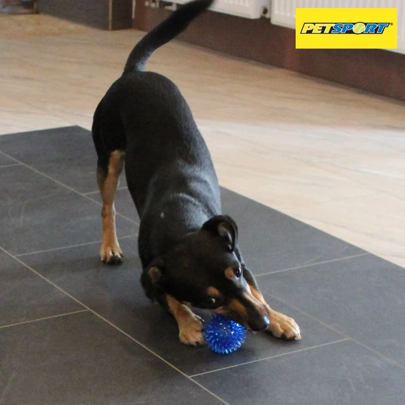 PetSport Gorilla Ball Hundespiel Apportierspiel Spielzeug TPR Igelball Gummiball