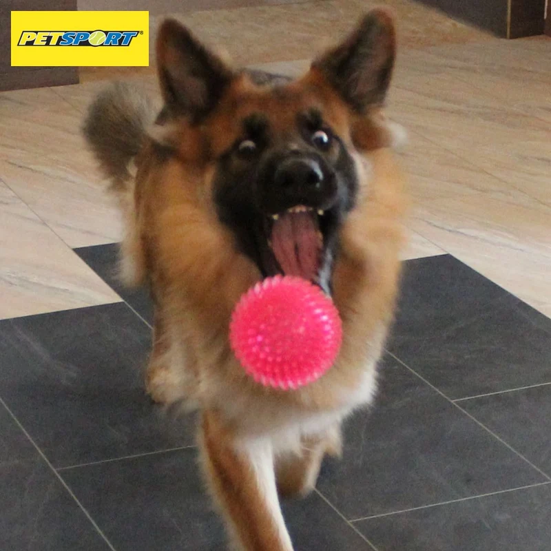 PetSport Gorilla Ball Hundespiel Apportierspiel Spielzeug TPR Igelball Gummiball