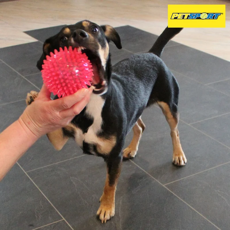 PetSport Gorilla Ball Hundespiel Apportierspiel Spielzeug TPR Igelball Gummiball