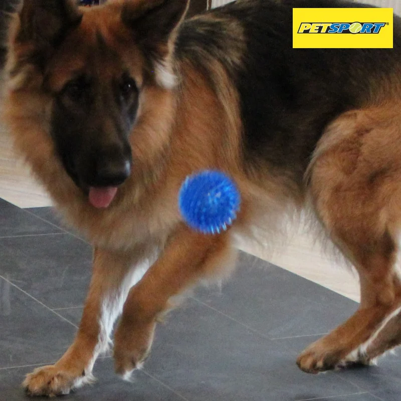 PetSport Gorilla Ball Hundespiel Apportierspiel Spielzeug TPR Igelball Gummiball