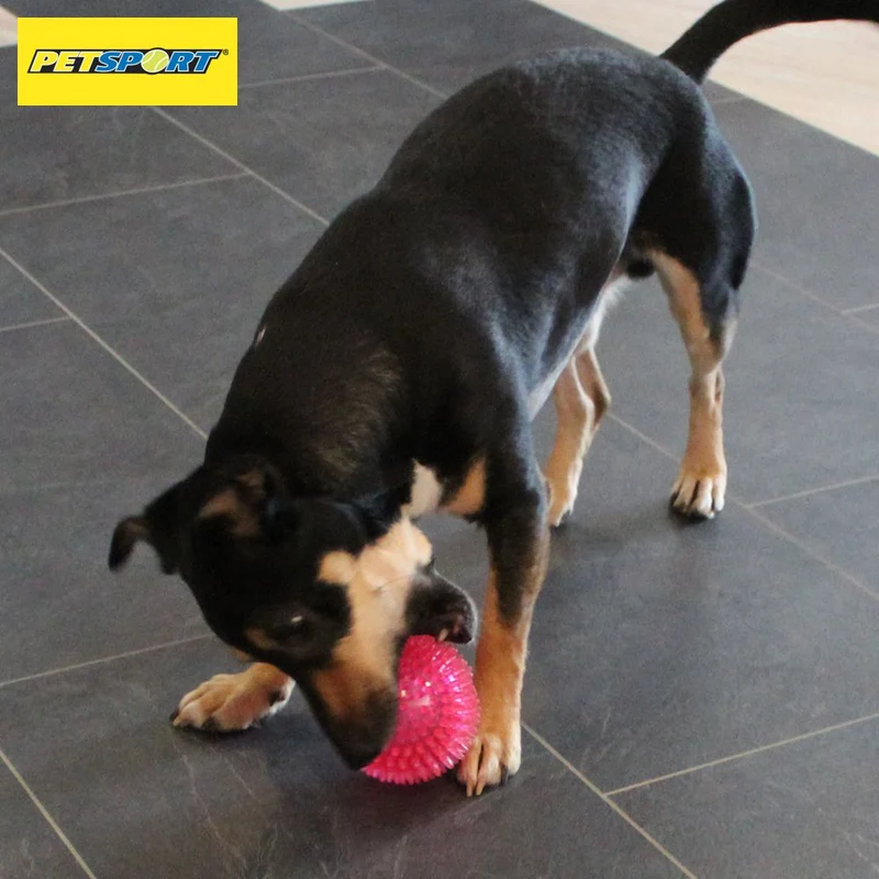 PetSport Gorilla Ball Hundespiel Apportierspiel Spielzeug TPR Igelball Gummiball