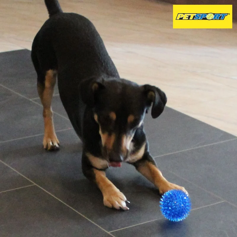 PetSport Gorilla Ball Hundespiel Apportierspiel Spielzeug TPR Igelball Gummiball
