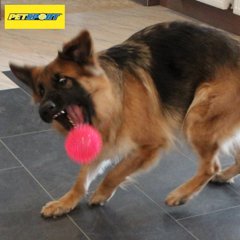 PetSport Gorilla Ball Hundespiel Apportierspiel Spielzeug TPR Igelball Gummiball