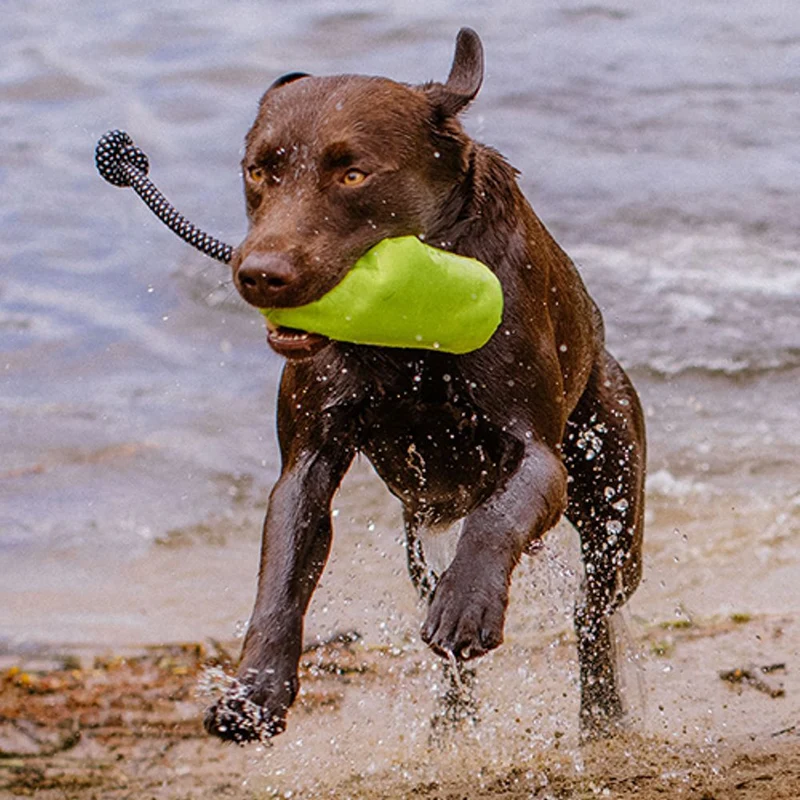 Nobby Trainingsdummy RIO Snackdummy Futterdummy Apportierdummy Preydummy Dummie