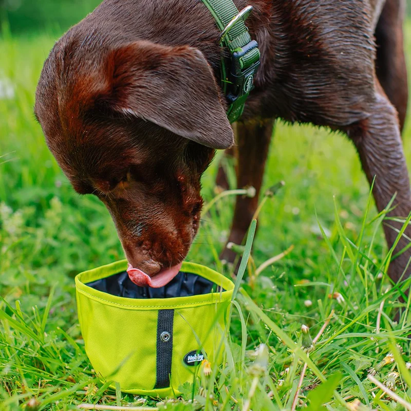 Nobby Reisenapf RIO - faltbar - 0,5 + 1,0 L - Futternapf Hundenapf Wassernapf