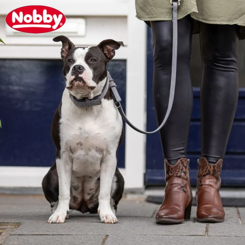 Nobby Leder Leine VELOURS 14 + 18 mm breit Nappaleder Hundeleine Leine Hund
