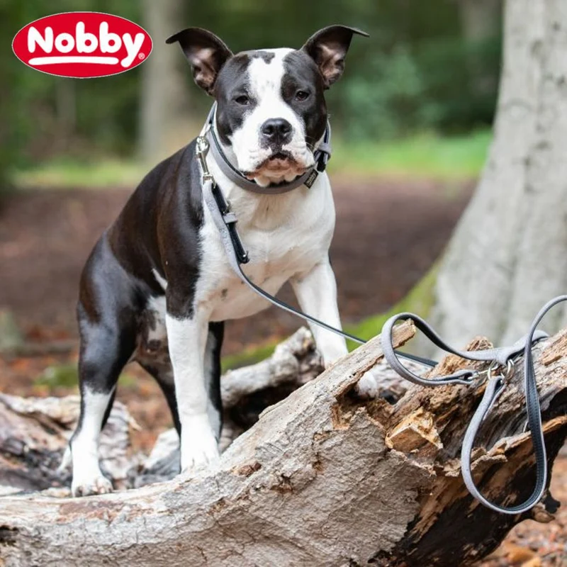 Nobby Leder Leine VELOURS 14 + 18 mm breit Nappaleder Hundeleine Leine Hund
