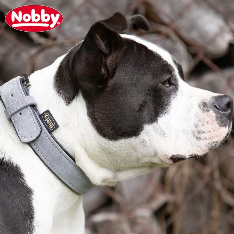 Nobby Leder Halsband VELOURS 26 - 61 cm lang - Nappaleder Hundehalsband Hund