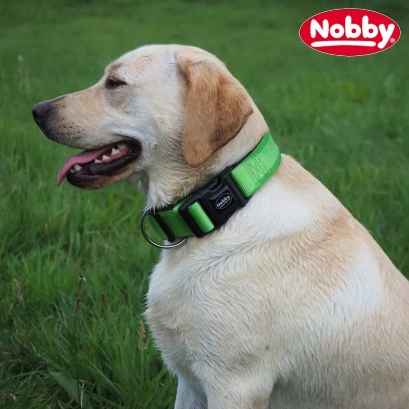 Nobby Halsband CLASSIC PRENO EXTRA - 40 mm breit - Nylon Hundehalsband