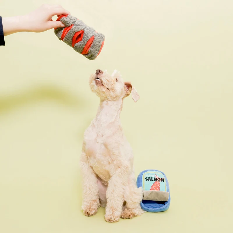 Hundespielzeug, Tinned Salmon