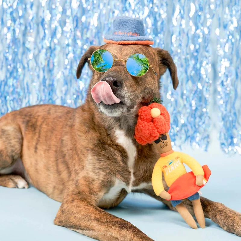 Hundespielzeug, Surfer Hooman