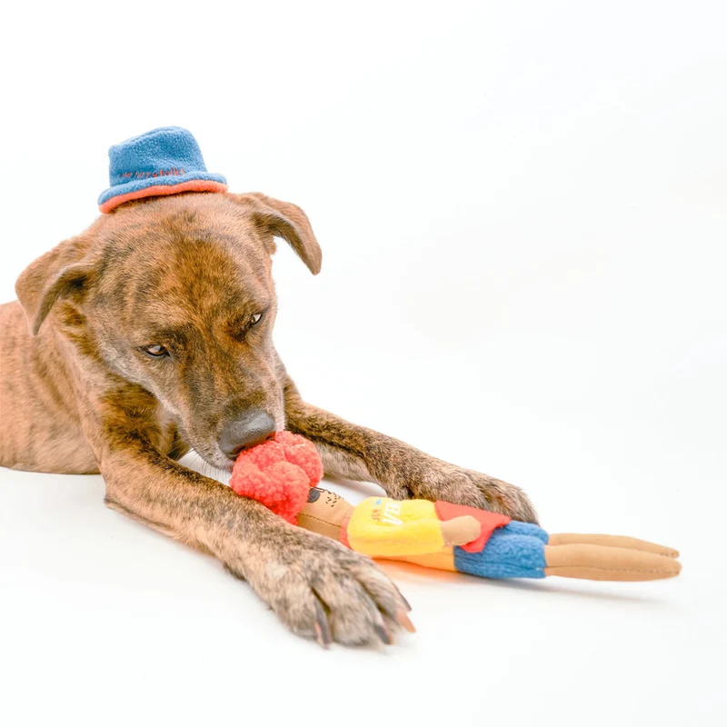 Hundespielzeug, Surfer Hooman