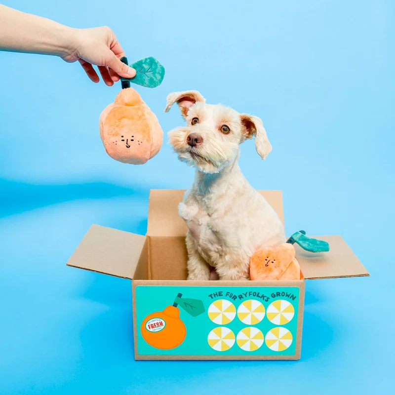 Hundespielzeug, Orange