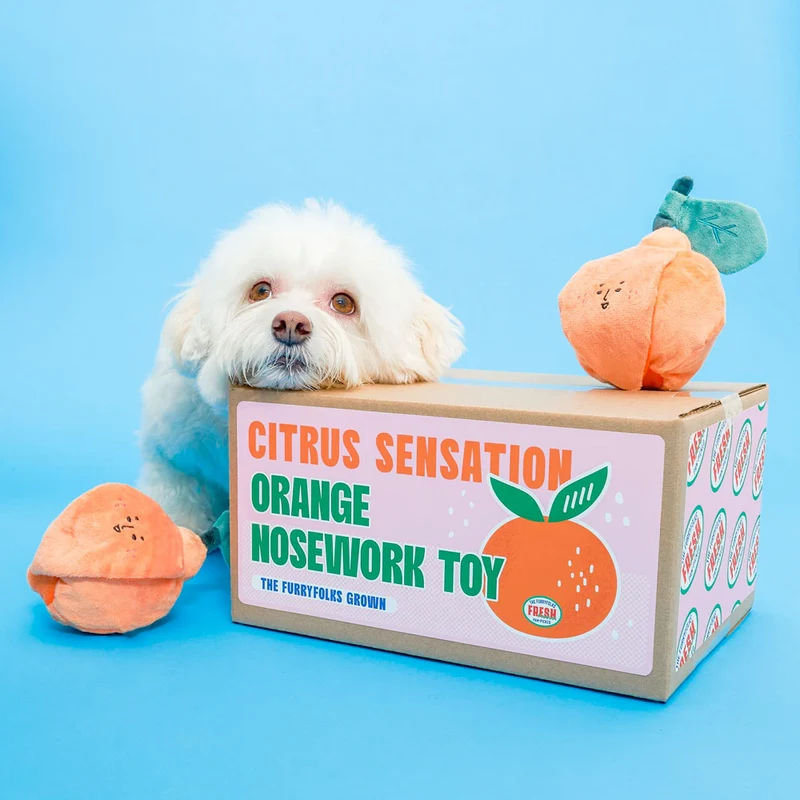Hundespielzeug, Orange